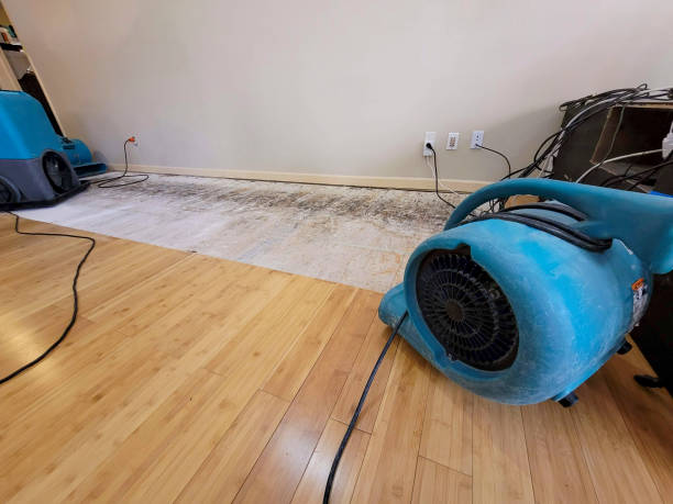 Professional Basement Flood Cleanup technician working in New Bloomington, OH